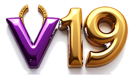 v19